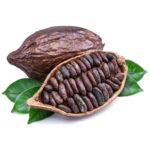 Cacau